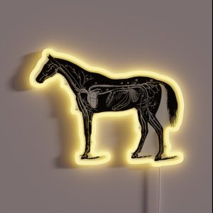 Horse Anatomy RGB Neon Sign