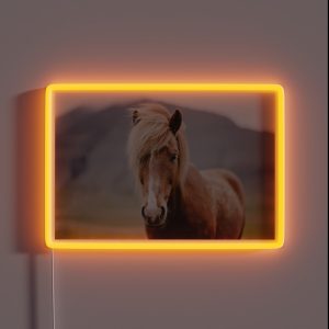 Horse Portrait RGB Neon Sign