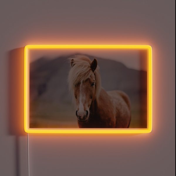 Horse Portrait RGB Neon Sign