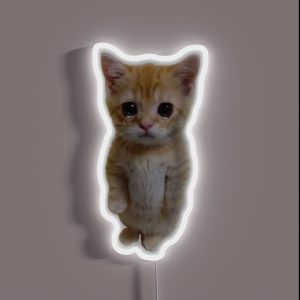 HQ Crying Cat Standing Up Meme RGB Neon Sign