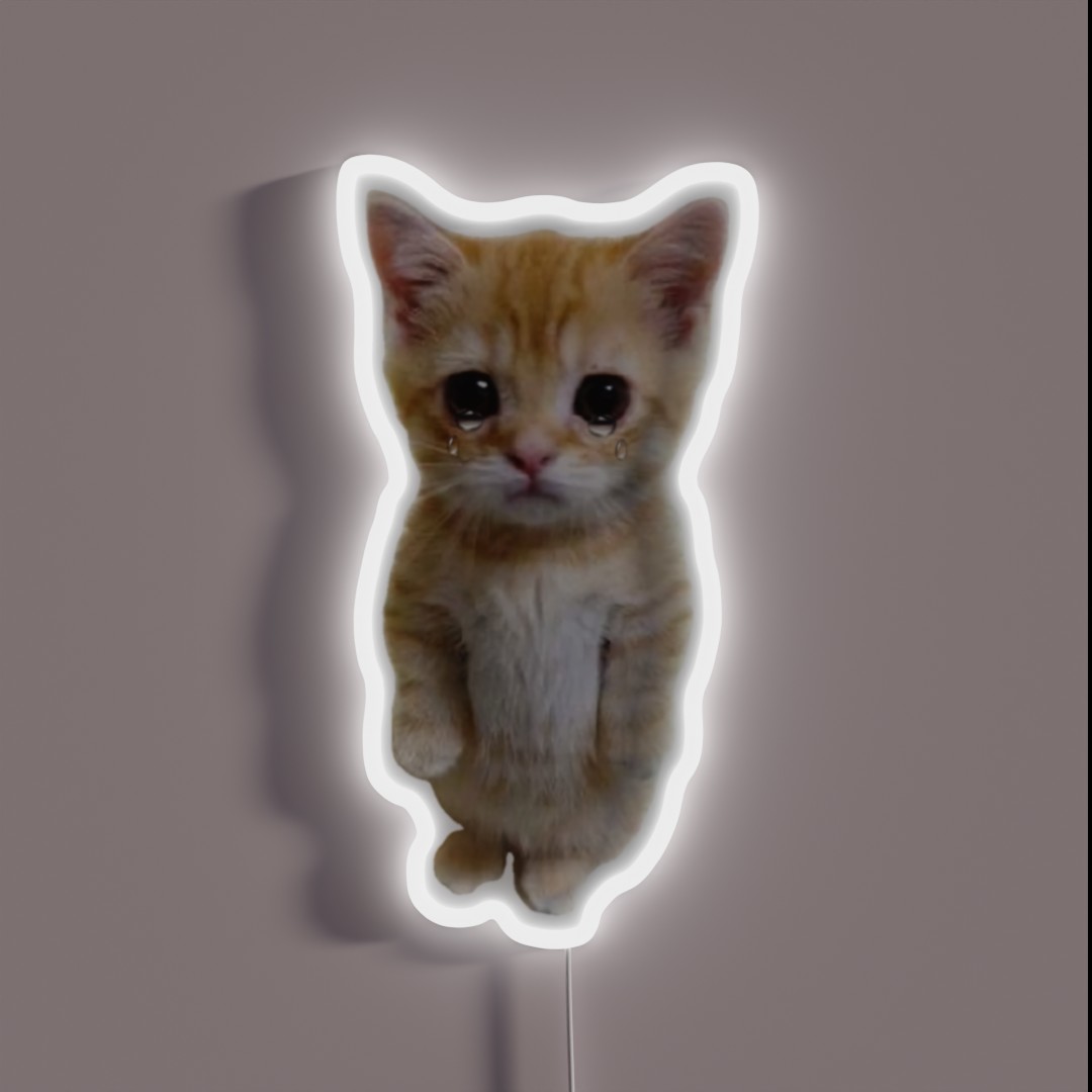 HQ Crying Cat Standing Up Meme RGB Neon Sign HQ Crying Cat Standing Up Meme RGB Neon Sign