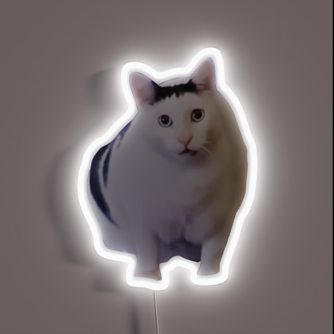 Huh Cat Chonky Ben Meme RGB Neon Sign Huh Cat Chonky Ben Meme RGB Neon Sign