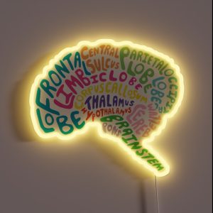 Human Brain Anatomy Colored Psychology Design RGB Neon Sign Human Brain Anatomy Colored Psychology Design RGB Neon Sign