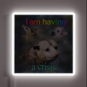 I Am Having A Crisis Possum Word Art RGB Neon Sign