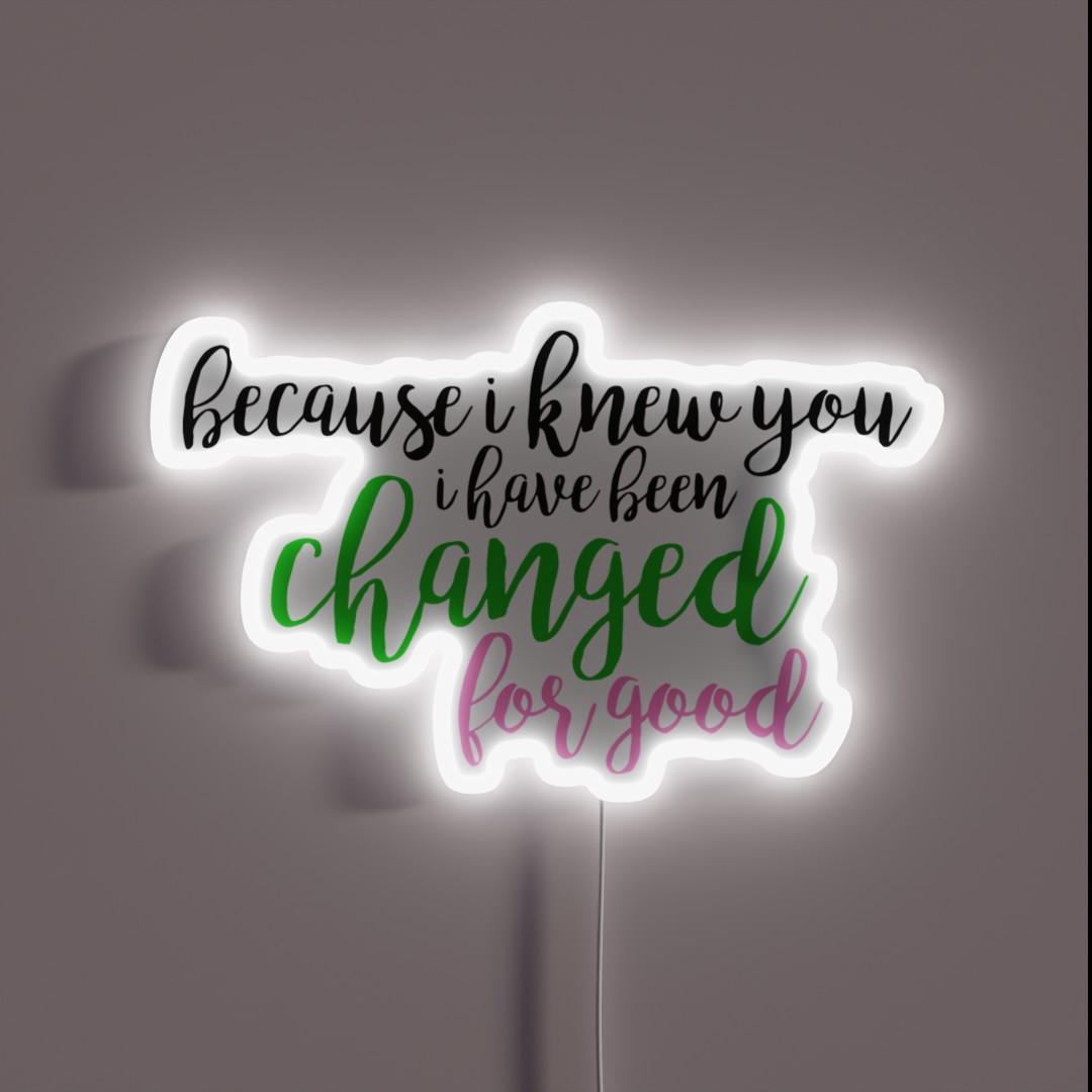 I Have Been Changed For Good Wicked RGB Neon Sign I Have Been Changed For Good Wicked RGB Neon Sign
