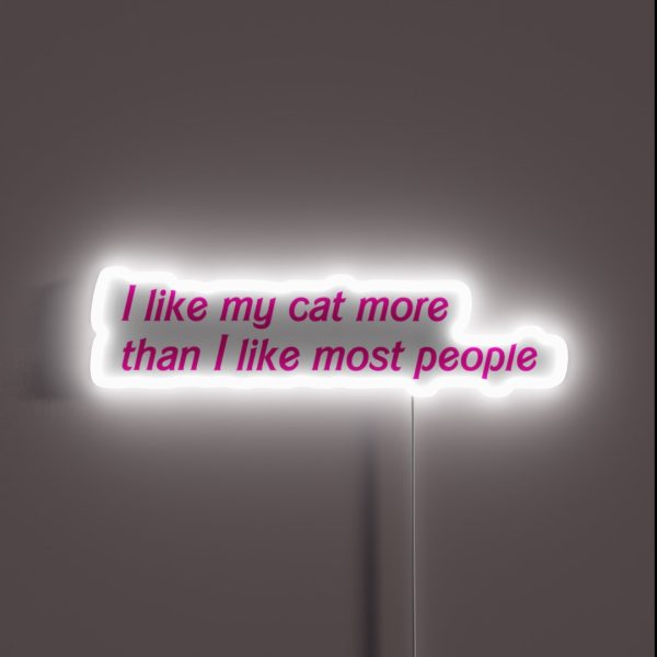 I Like My Cat More RGB Neon Sign