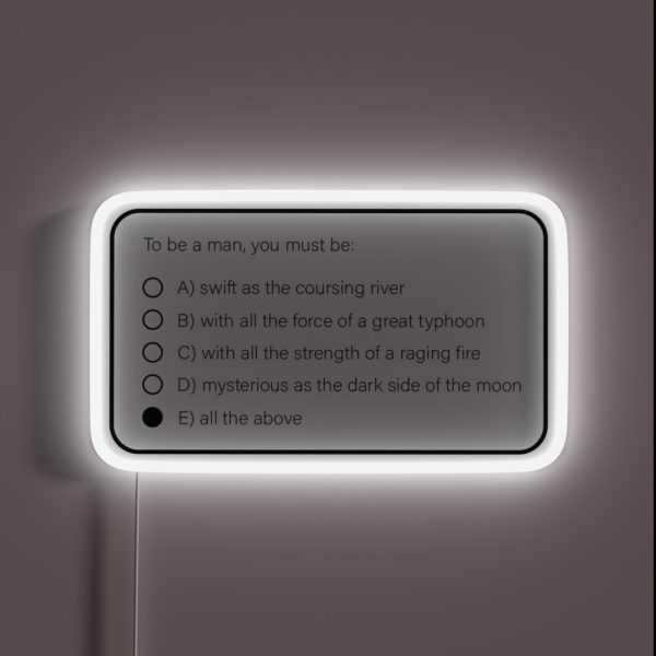 I Ll Make A Man Out Of You RGB Neon Sign