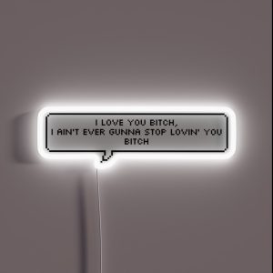 I Love You Bitch RGB Neon Sign