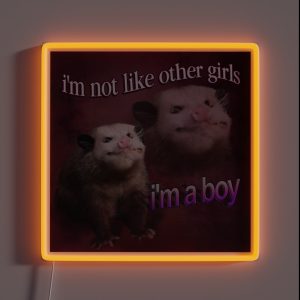 I M Not Like Other Girls I M A Boy Possum Word Art RGB Neon Sign