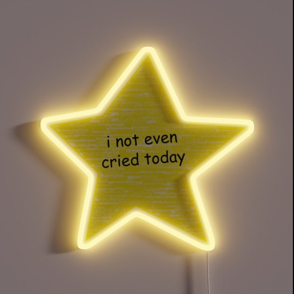 I Not Even Cried Today RGB Neon Sign