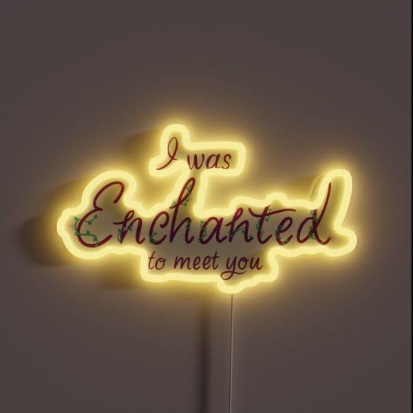 I Was Enchanted To Meet You RGB Neon Sign