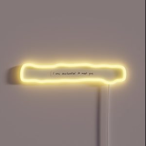 I Was Enchanted To Meet You RGB Neon Sign I Was Enchanted To Meet You RGB Neon Sign