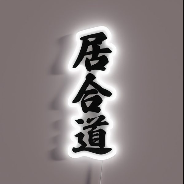 Iaido Japanese Kanji Arranged Veritcally On RGB Neon Sign