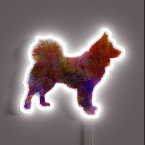 Icelandic Sheepdog In Watercolor RGB Neon Sign