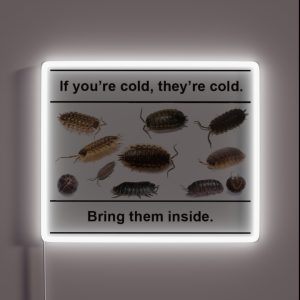 If You Re Cold They Re Cold Isopod Meme RGB Neon Sign If You Re Cold They Re Cold Isopod Meme RGB Neon Sign