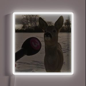 Interview With Bambi Chiffon Top RGB Neon Sign