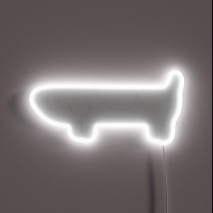 Invisible Hidden Long Dog RGB Neon Sign