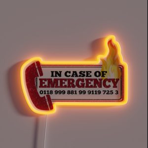 It Crowd Inspired New Emergency Number 0118 999 881 99 9119 725 3 Moss And The Fire RGB Neon Sign