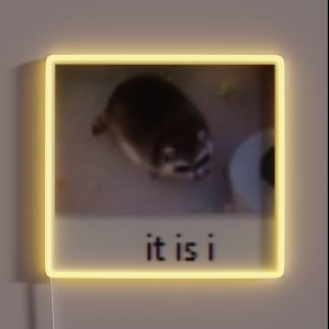 IT IS I RGB Neon Sign