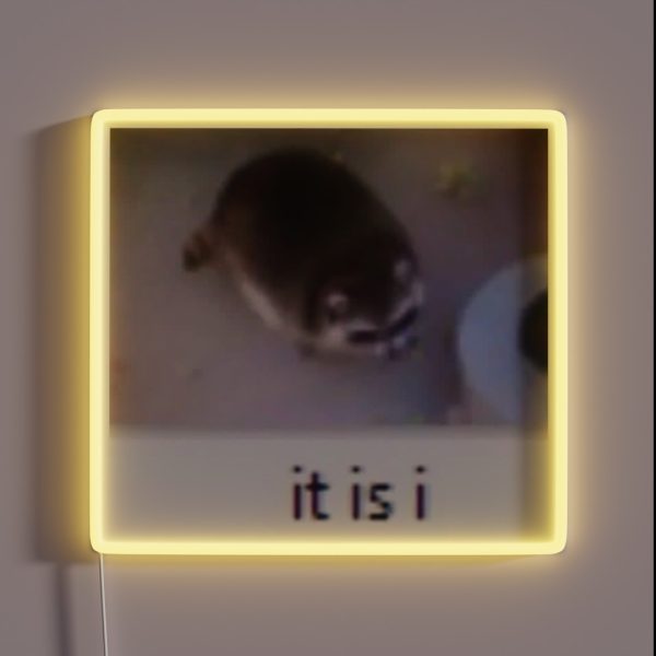IT IS I RGB Neon Sign