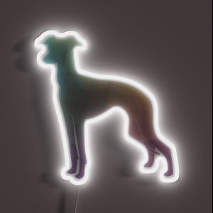 Italian Greyhound Iggy Colorful Geometric Pattern Silhouette Pastel RGB Neon Sign Italian Greyhound Iggy Colorful Geometric Pattern Silhouette Pastel RGB Neon Sign