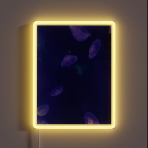 Jellyfish 2 RGB Neon Sign