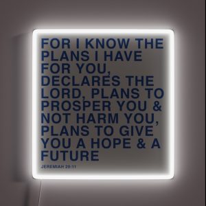 Jeremiah 29 11 RGB Neon Sign