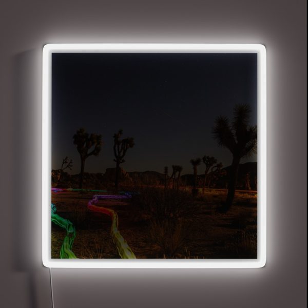 Joshua Tree With Rainbow Light Trails RGB Neon Sign