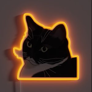 Judgmental Kitty Cat RGB Neon Sign Judgmental Kitty Cat RGB Neon Sign