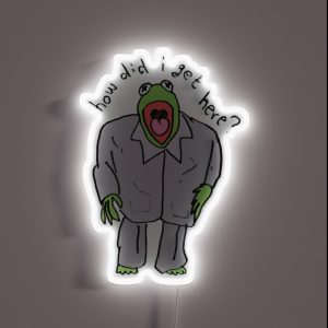 Kermie Got No Clue Where He Is RGB Neon Sign