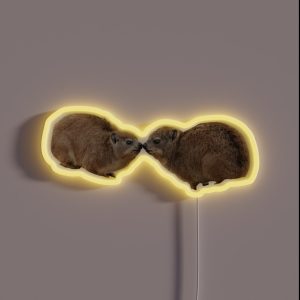 Kissing Rock Hyrax RGB Neon Sign Kissing Rock Hyrax RGB Neon Sign