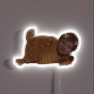 Kitty Ed RGB Neon Sign Kitty Ed RGB Neon Sign