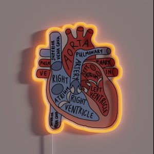 Labeled Anatomical Heart RGB Neon Sign Labeled Anatomical Heart RGB Neon Sign