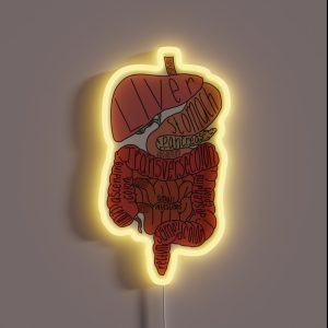 Labeled Intestine Anatomy RGB Neon Sign