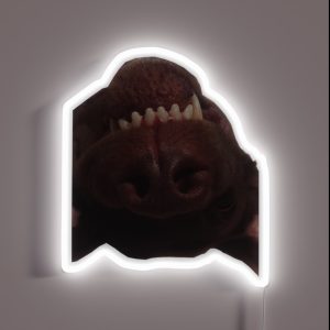 Labrador Retriever RGB Neon Sign