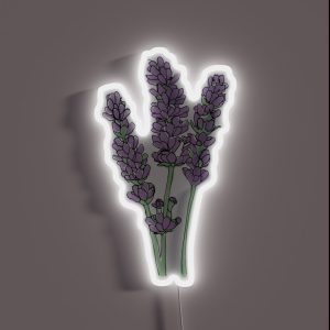Lavender Illustration RGB Neon Sign Lavender Illustration RGB Neon Sign