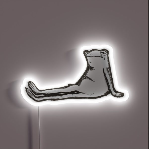 Lazy Frog RGB Neon Sign