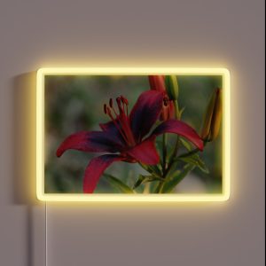Lily RGB Neon Sign