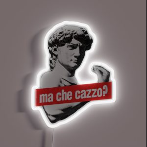 Ma Che Cazzo Funny David Sculptur With Talking Hand RGB Neon Sign