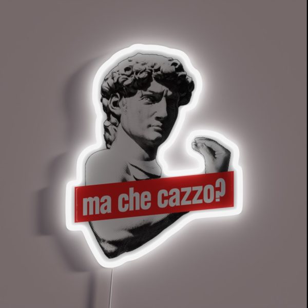 Ma Che Cazzo Funny David Sculptur With RGB Neon Sign