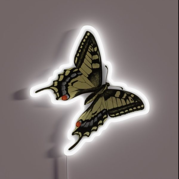 Machaon Eastern Tiger Swallowtail RGB Neon Sign
