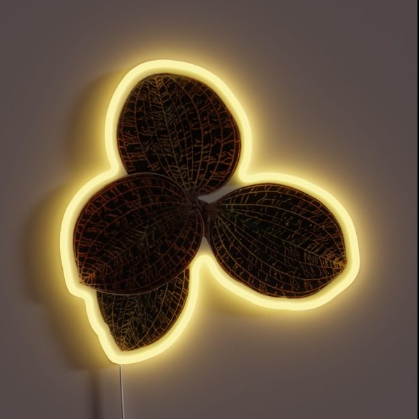 Macodes Lowii Jewel Orchid RGB Neon Sign