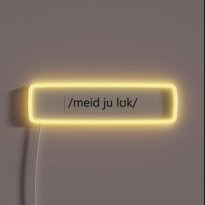 Made You Look RGB Neon Sign Made You Look RGB Neon Sign