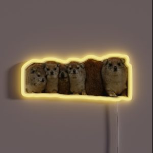Many Rock Hyrax RGB Neon Sign Many Rock Hyrax RGB Neon Sign