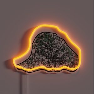 Map Of Raleigh RGB Neon Sign