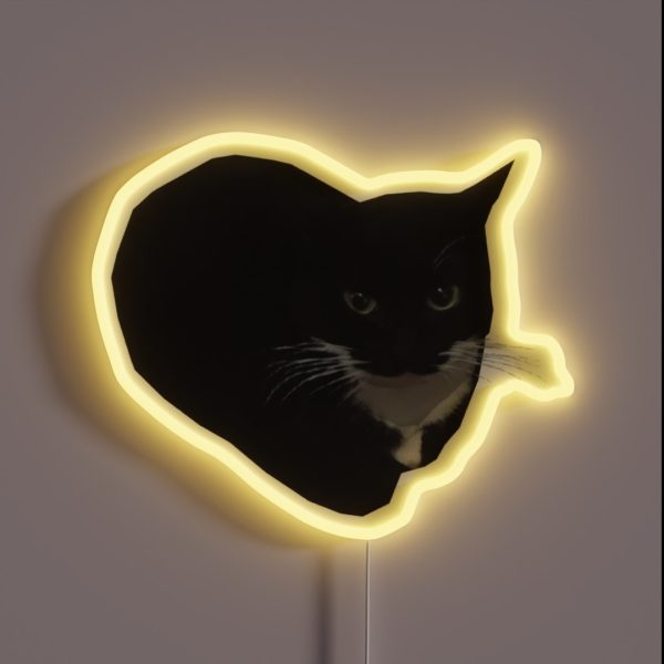 Maxwell The Cat RGB Neon Sign