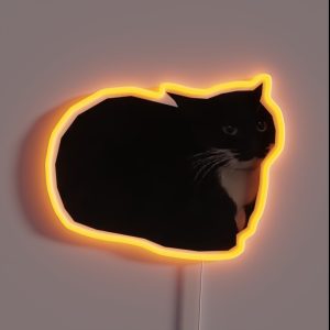 Maxwell The Cat Shitpost Meme Funny 2023 RGB Neon Sign