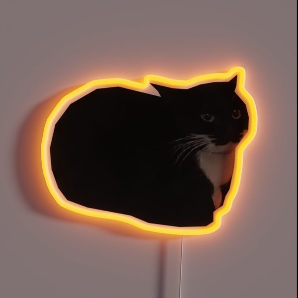 Maxwell The Cat Shitpost Meme Funny 2023 RGB Neon Sign