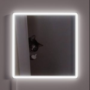 Middle Finger Cat RGB Neon Sign