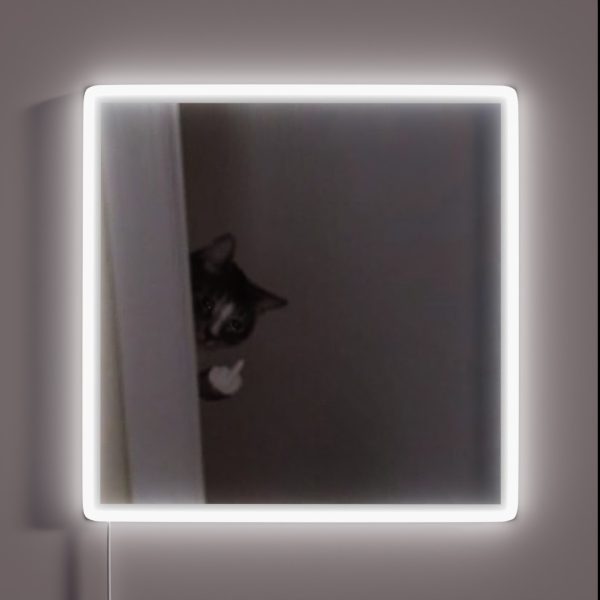 Middle Finger Cat RGB Neon Sign